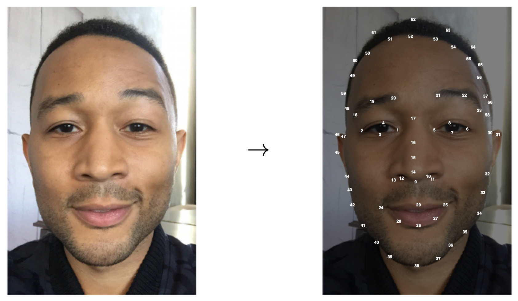 Face image annotated with consistently numbered landmarks (e.g., left eye corner = #1, nose tip = #30, right eye corner = #16), establishing a reproducible labeling protocol