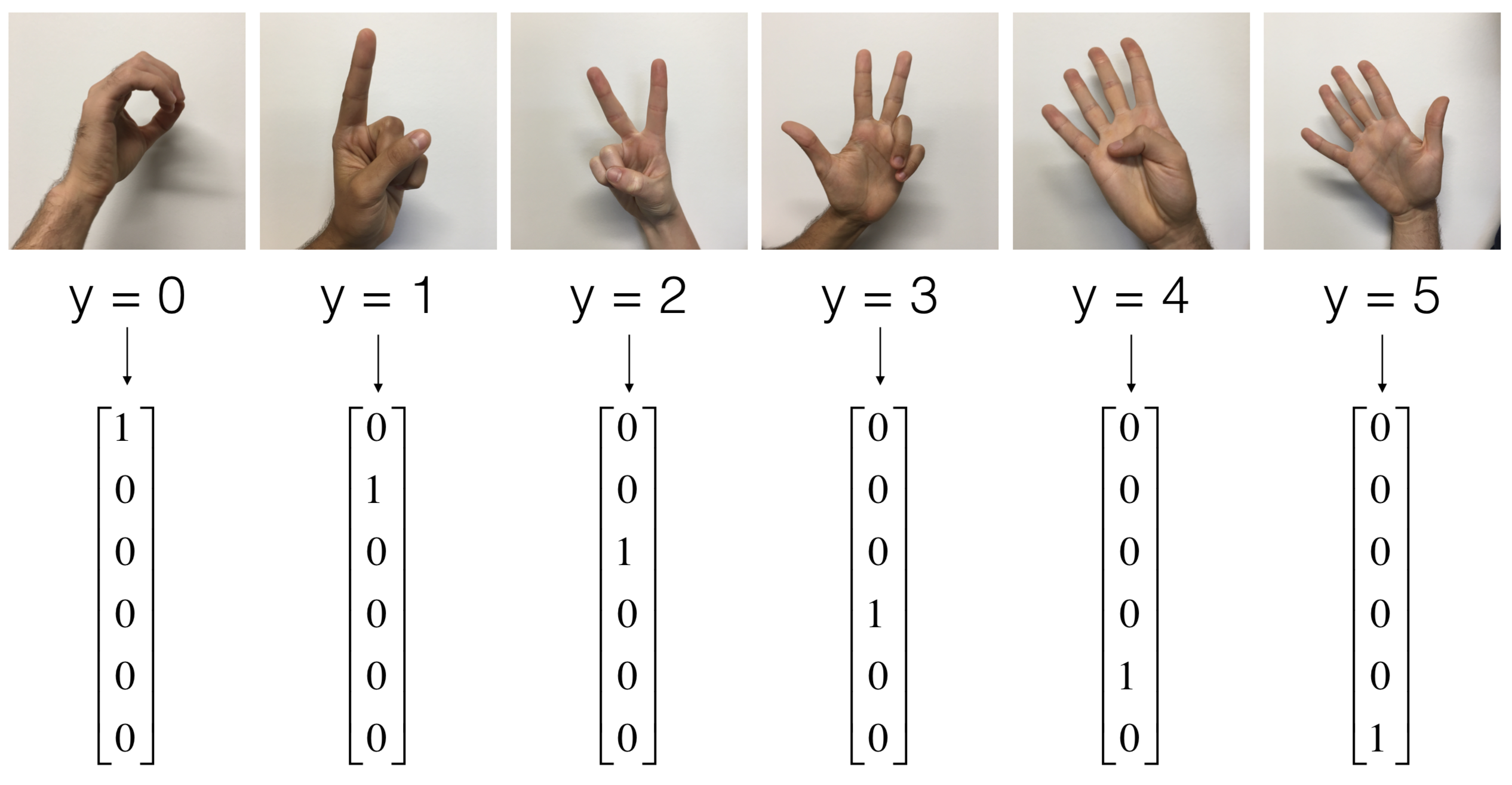 SIGN Language detection