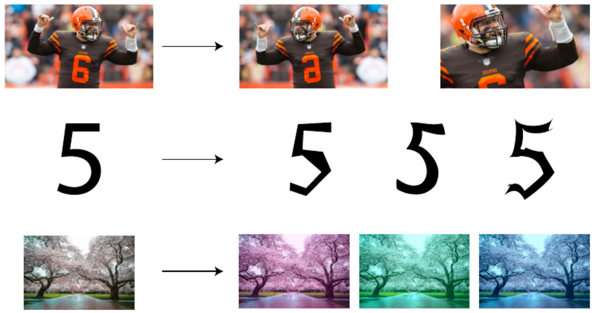 Figure 3.3.5: Data augmentation examples applied to images.