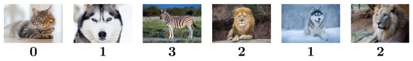Figure 3.8.1: Multi-class classification with labels 0 → cat, 1 → dog, 2 → lion, 3 → zebra.
