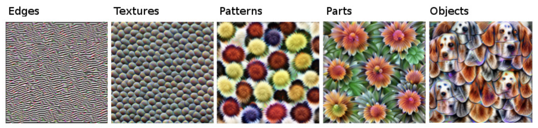 Grid of top-5 dataset images, all containing shirts with similar textures that strongly activate a specific neuron