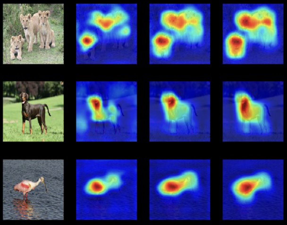 Saliency map overlaying important pixels on an images of animals, with high-gradient regions corresponding to the animal’s outline
